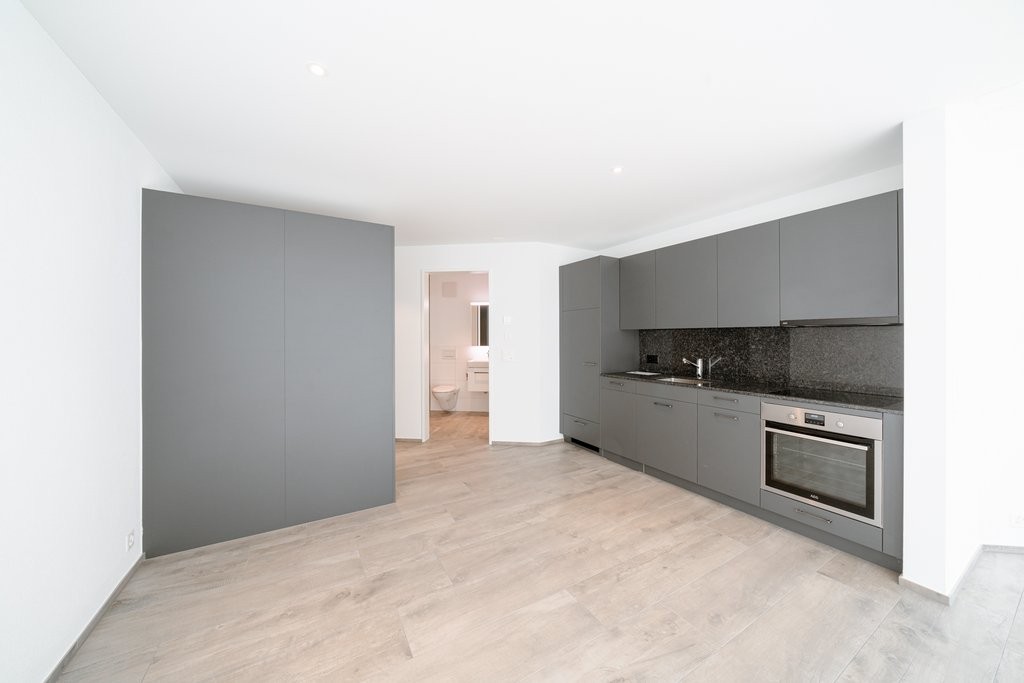 Appartement de 1 ½ pièces