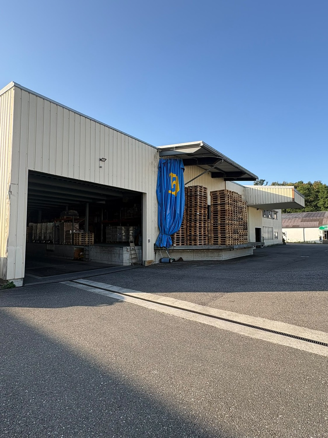 1238m² commerciale