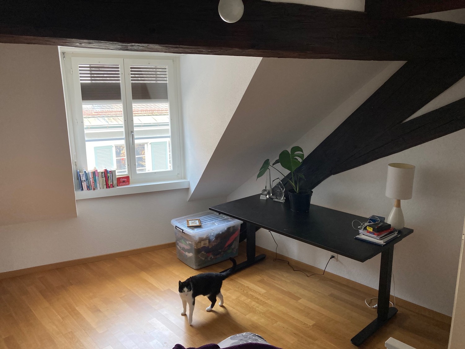 3 ½ rooms apartment, photo 5 of 10