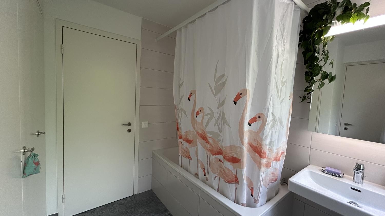 Chambre en colocation