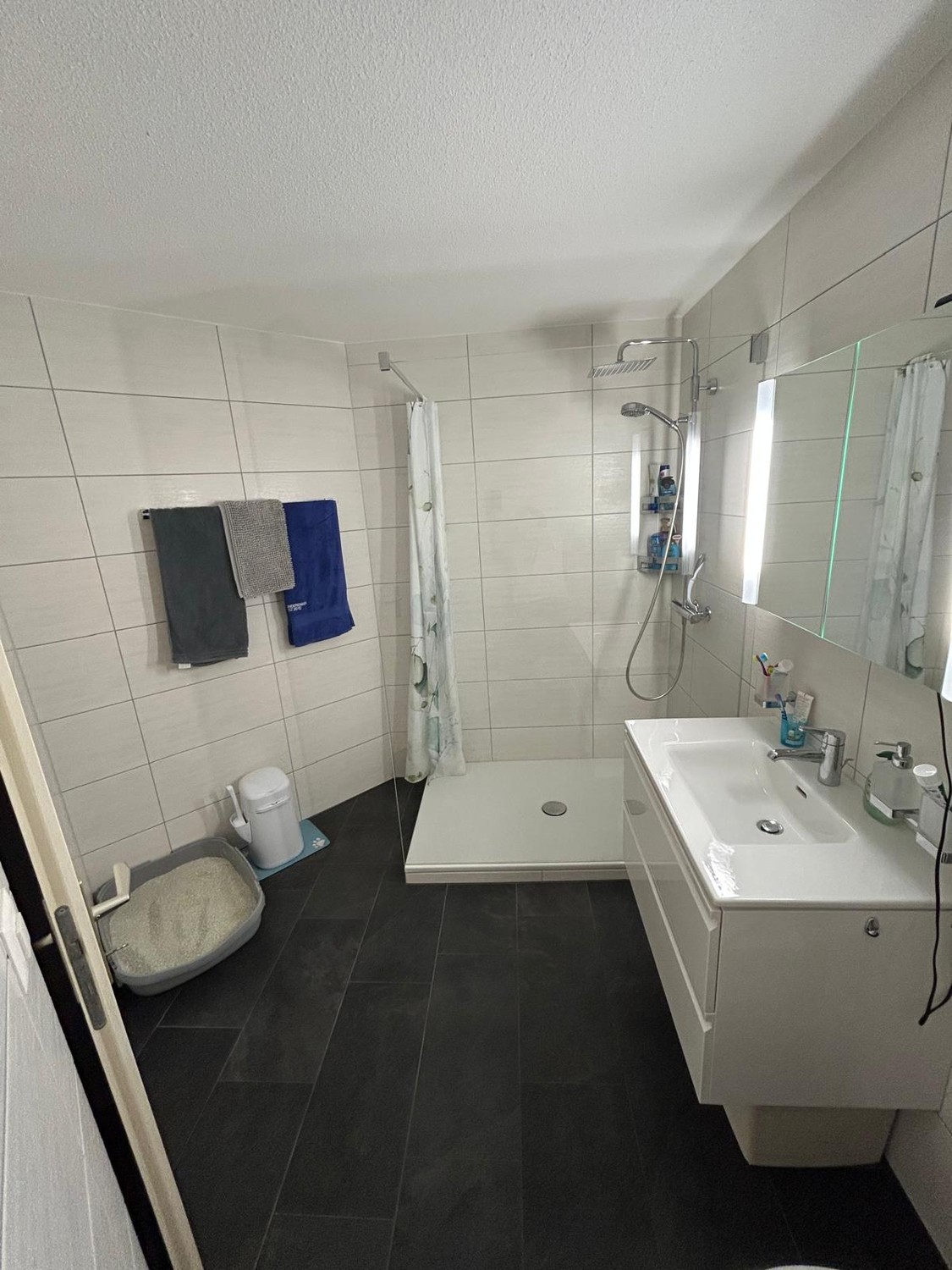 3 ½ rooms apartment, photo 7 of 10