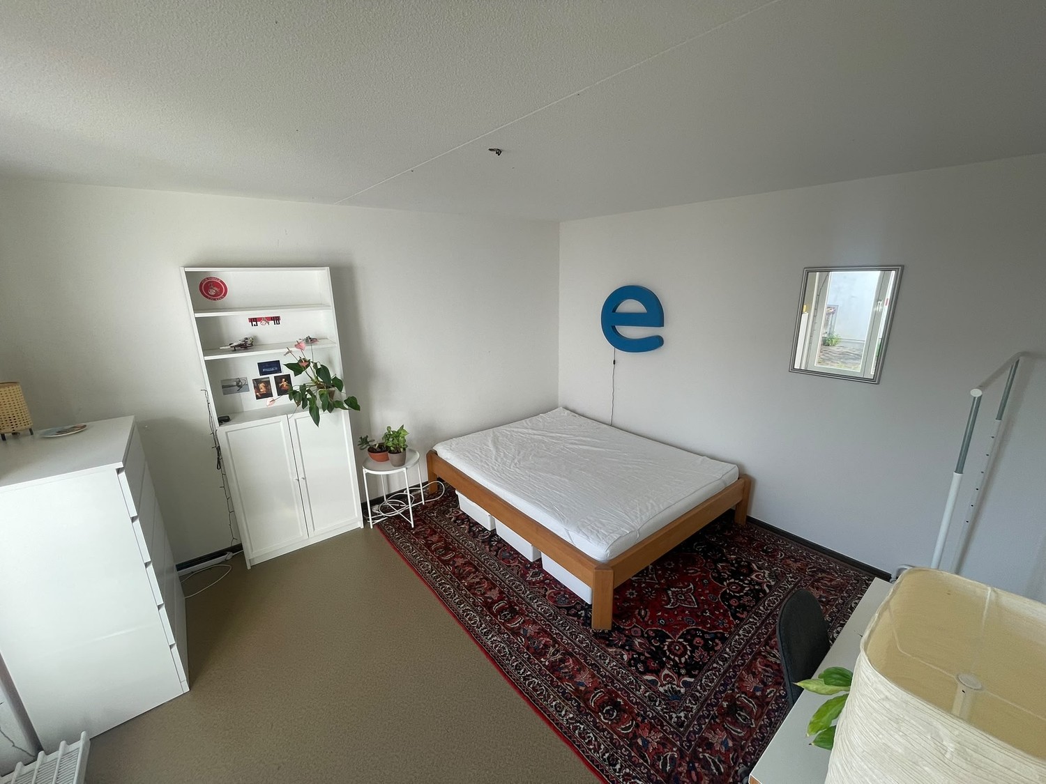 Room in a shared flat