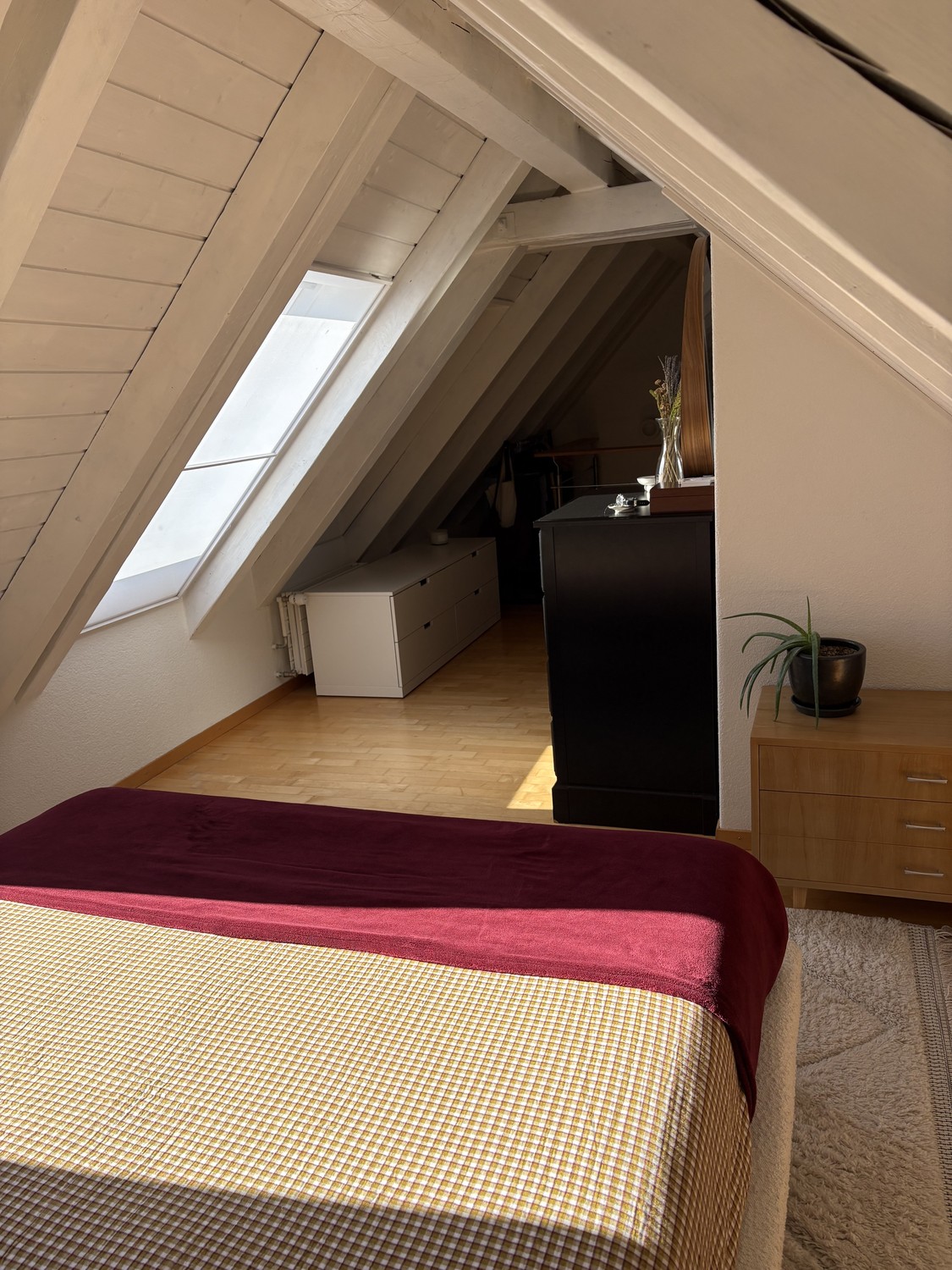 2 ½ Zimmer Wohnung