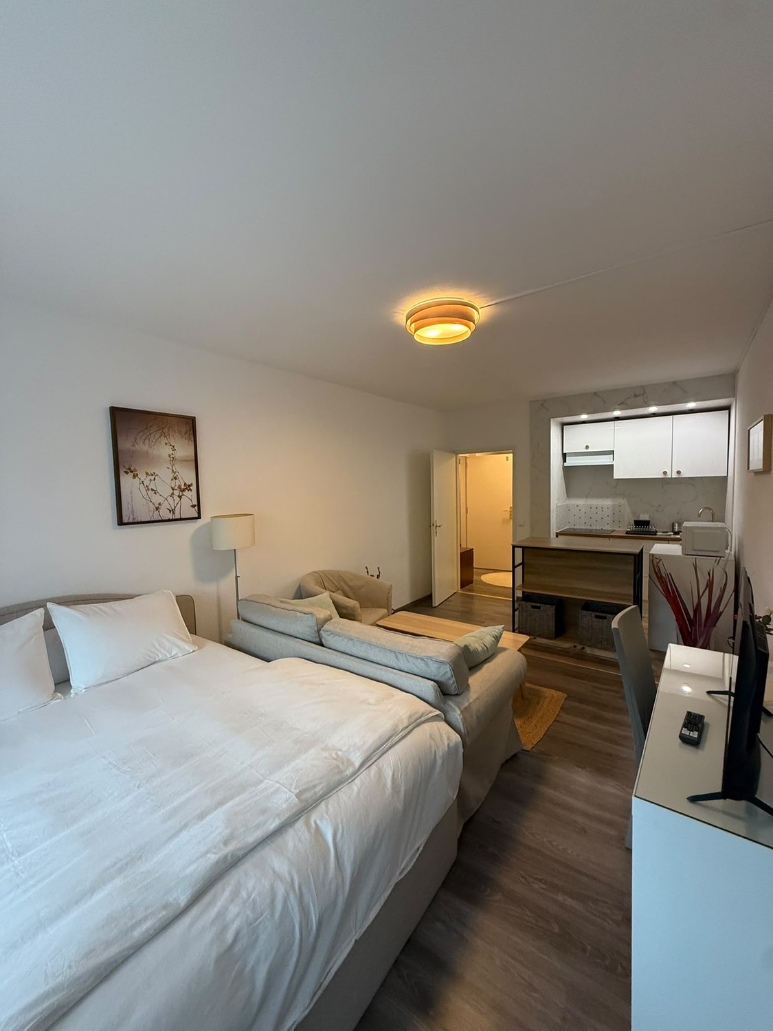 1 room apartment, photo 3 of 5
