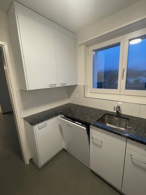 3 ½ pièces appartement mansardé