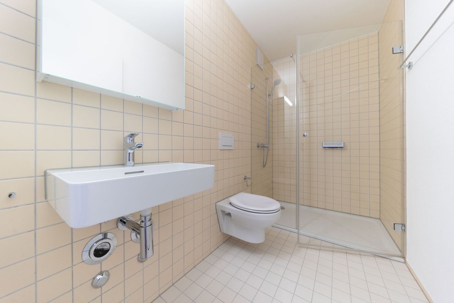 5 ½ rooms apartment (9)