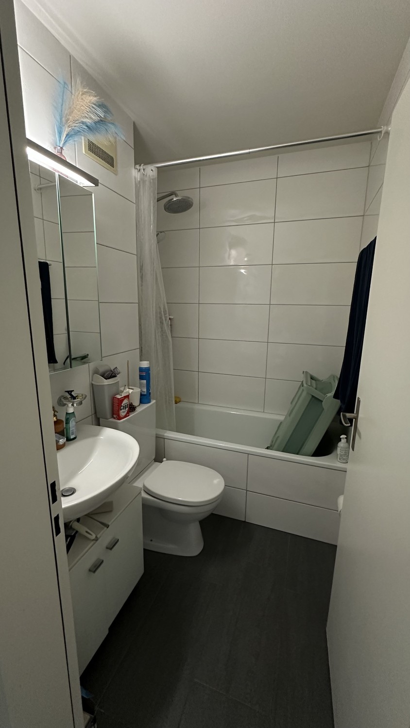 2 rooms apartment, photo 2 sur 6