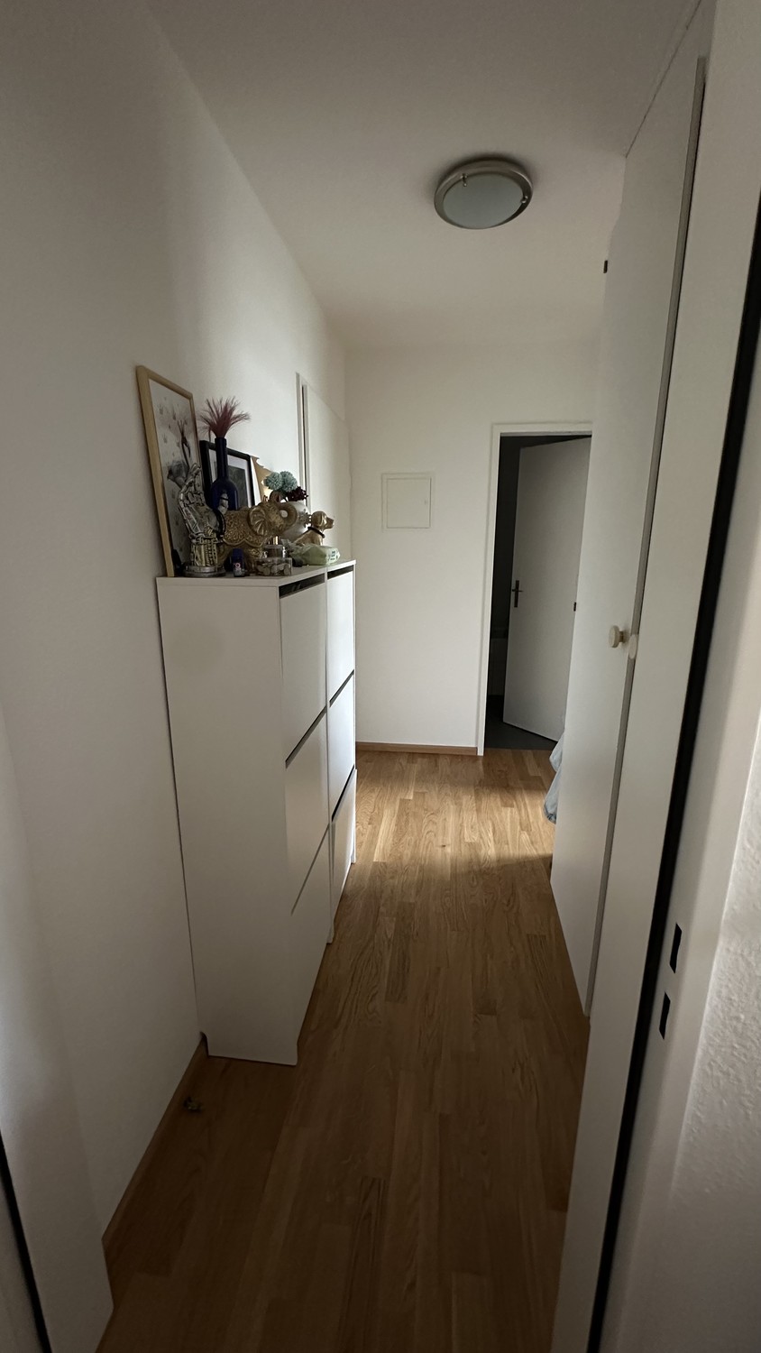 2 rooms apartment, photo 3 sur 6
