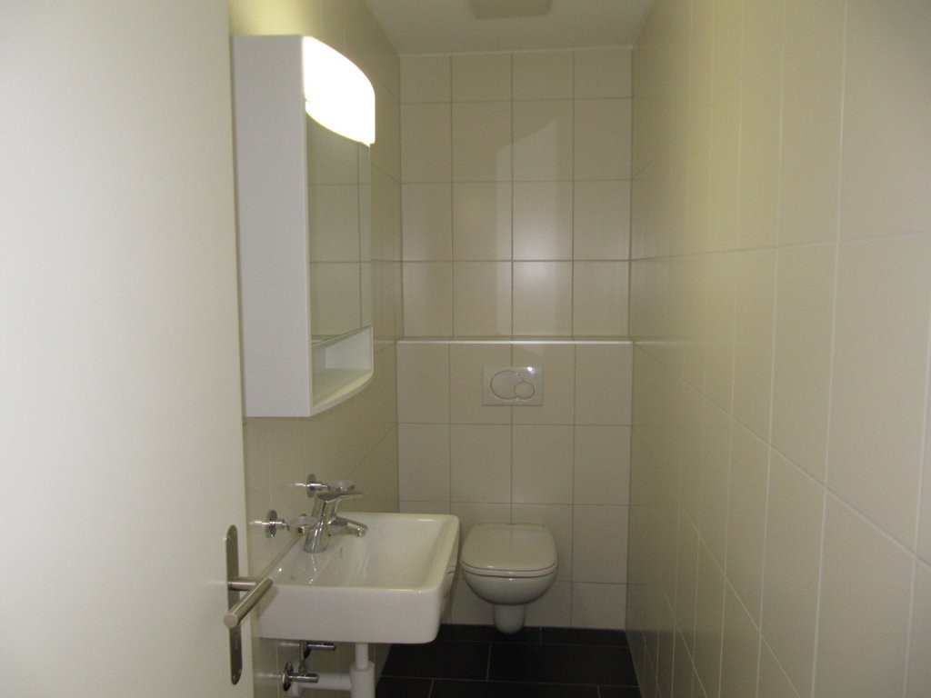 3 ½ rooms apartment (5)
