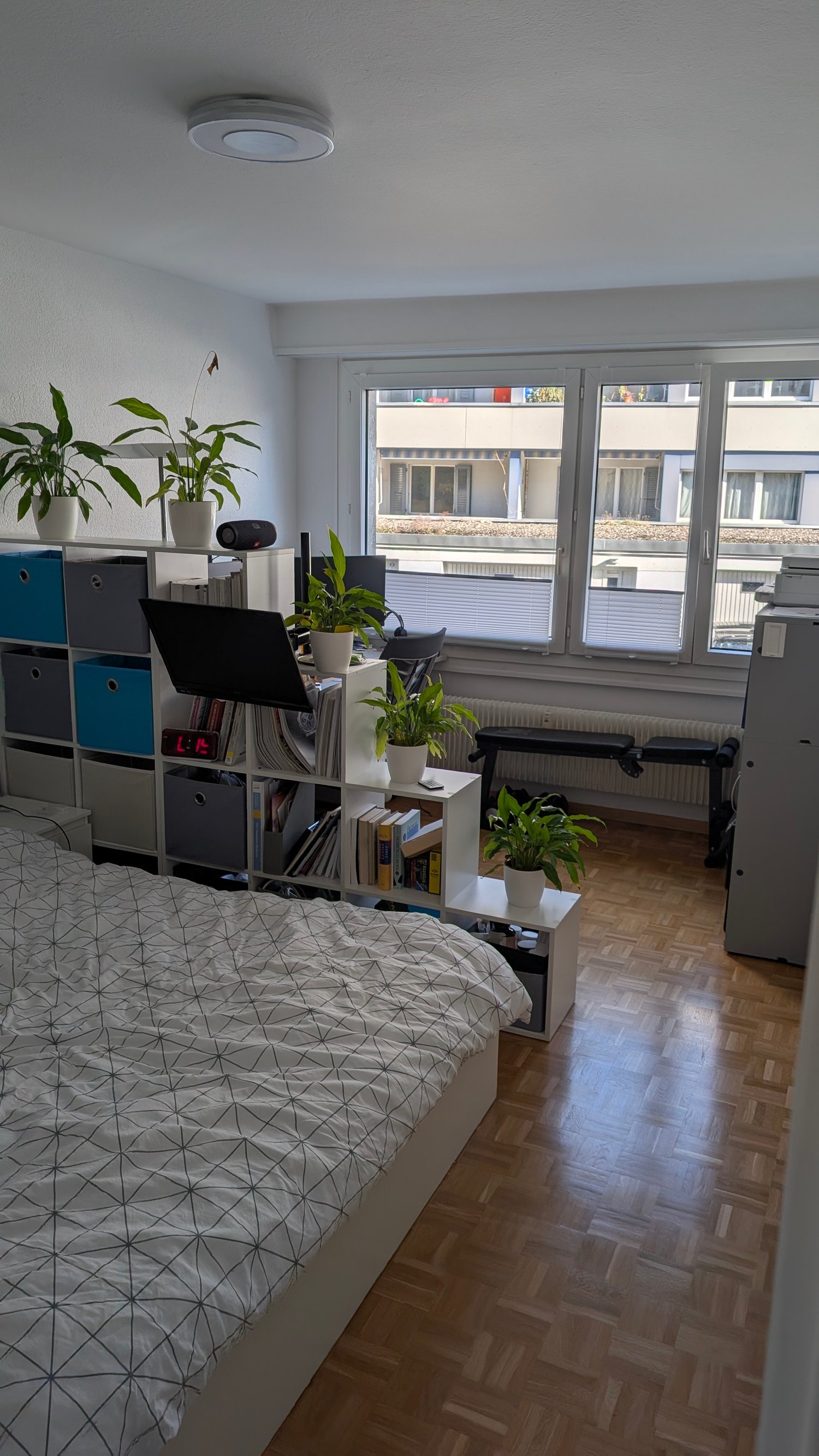 Chambre dans une colocation, photo 3 sur 10