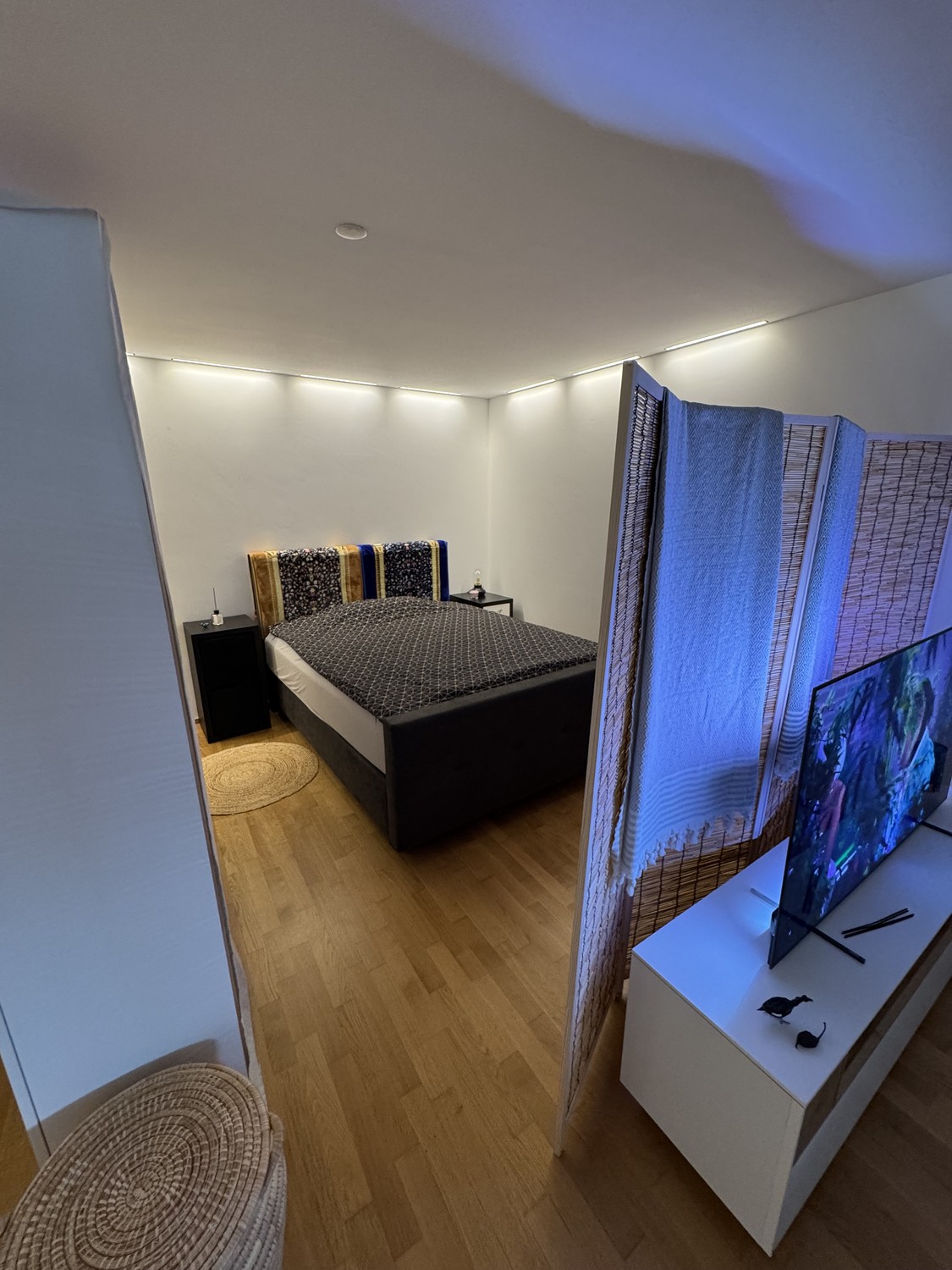 Appartement de 1 ½ pièces
