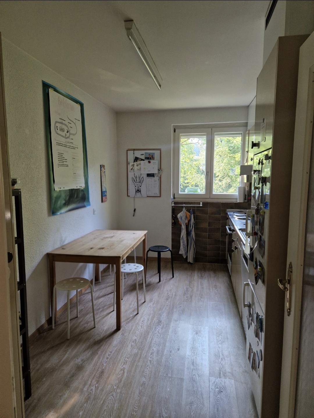 Appartement de 3 ½ pièces