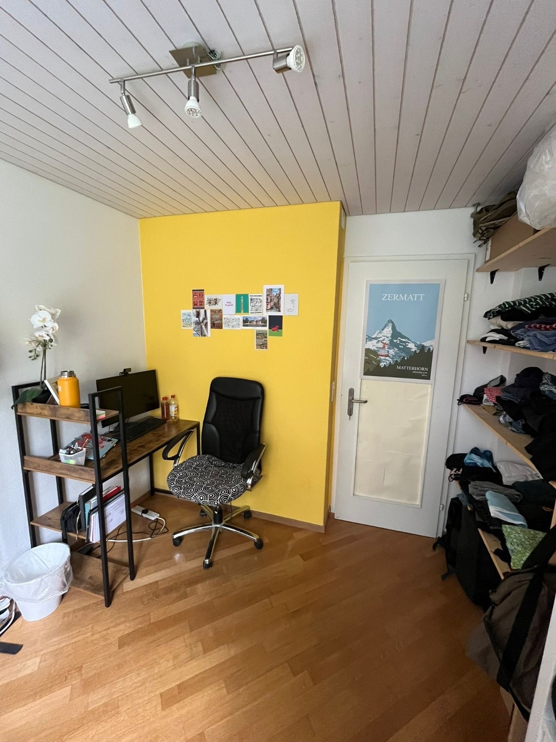 Room in a shared flat