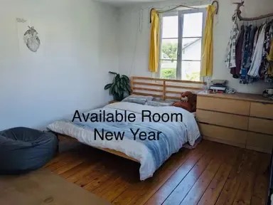 Room in a shared flat