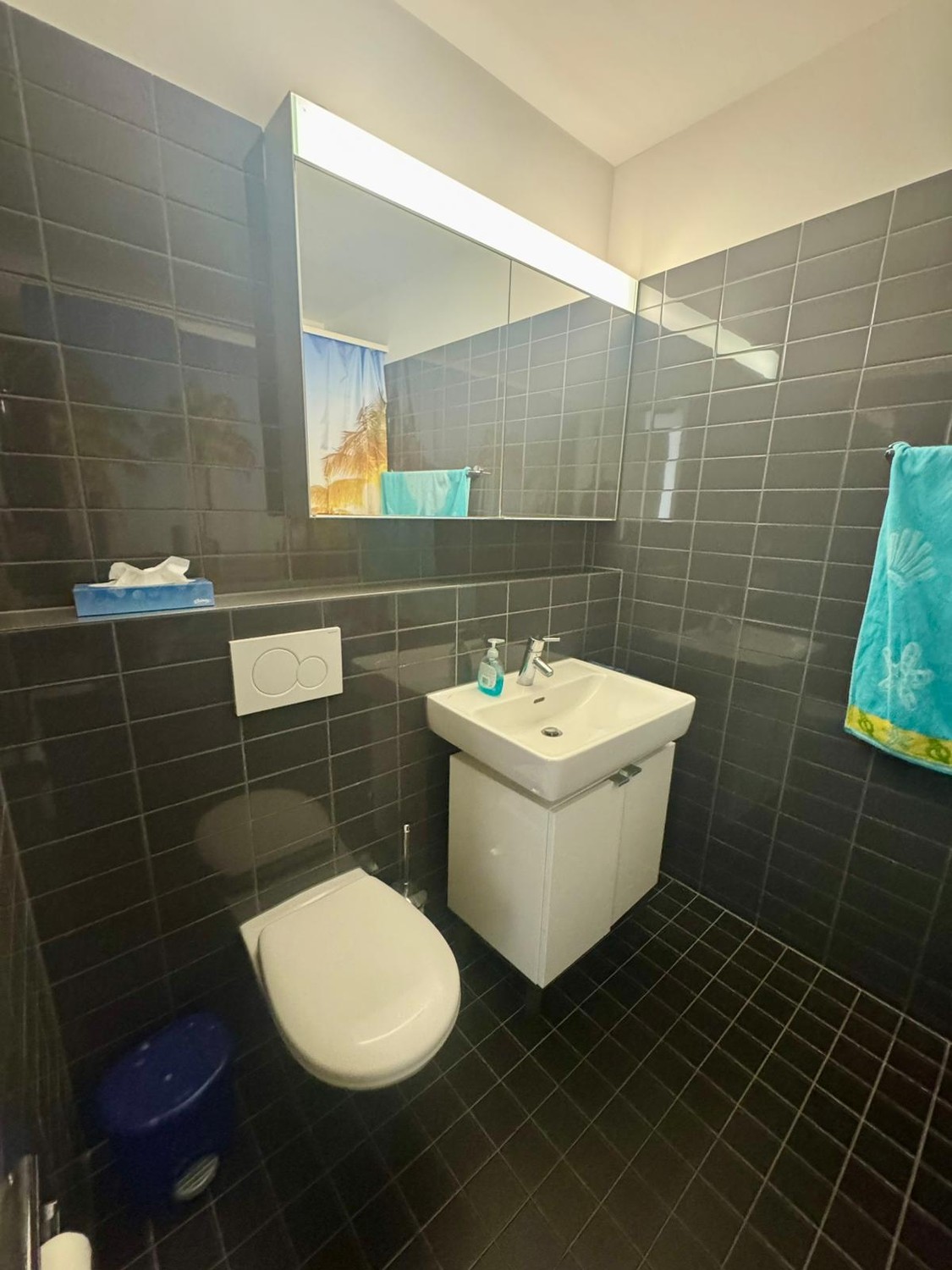 1 room apartment