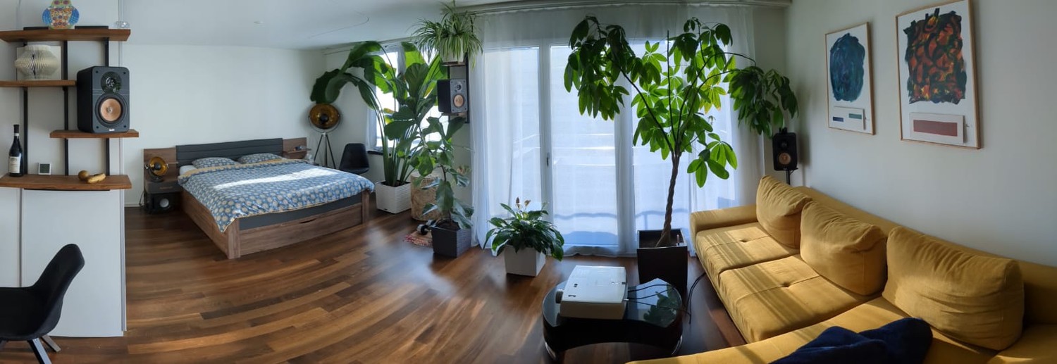 1 room apartment