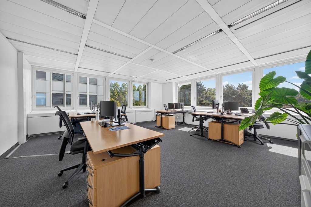 352m² office, photo 5 of 9