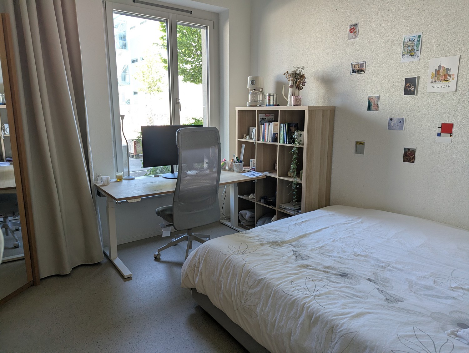 Room in a shared flat