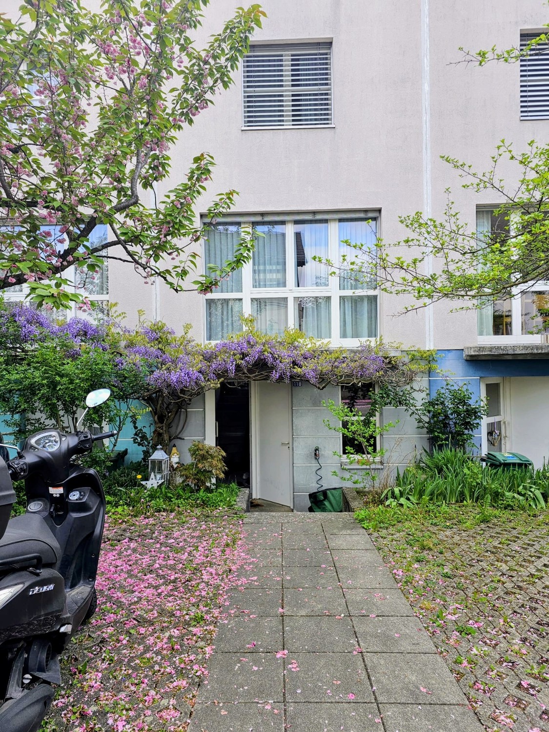 6 pièces maison individuelle