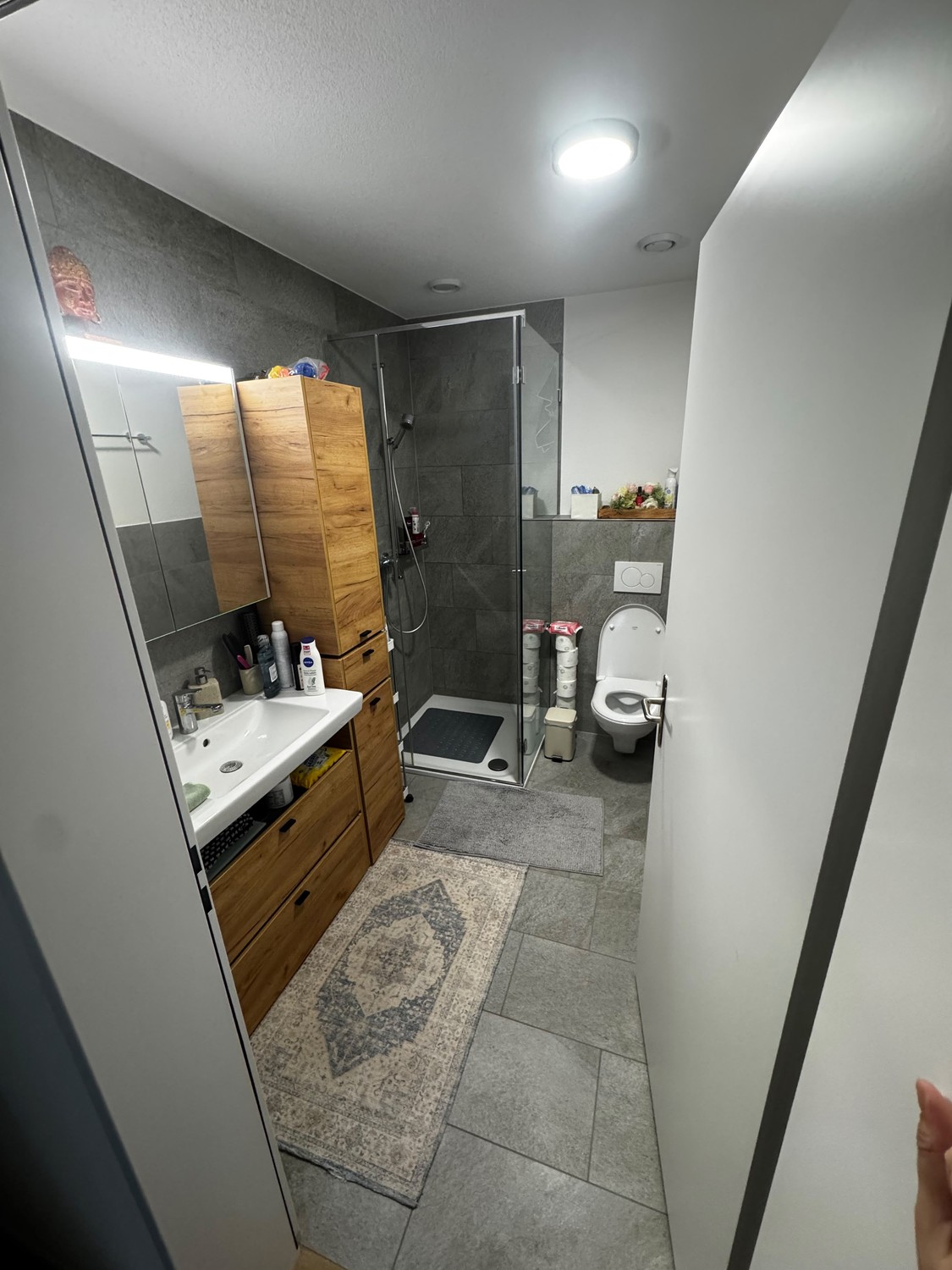 Appartement de 3 ½ pièces
