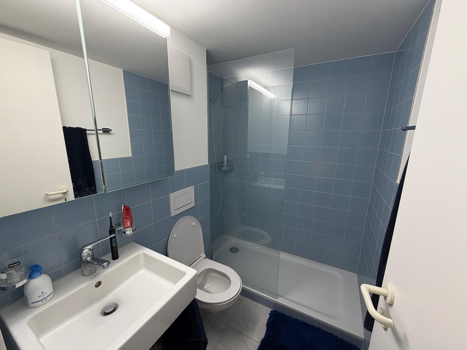 Appartamento di 2 ½ locali, foto 7 di 8