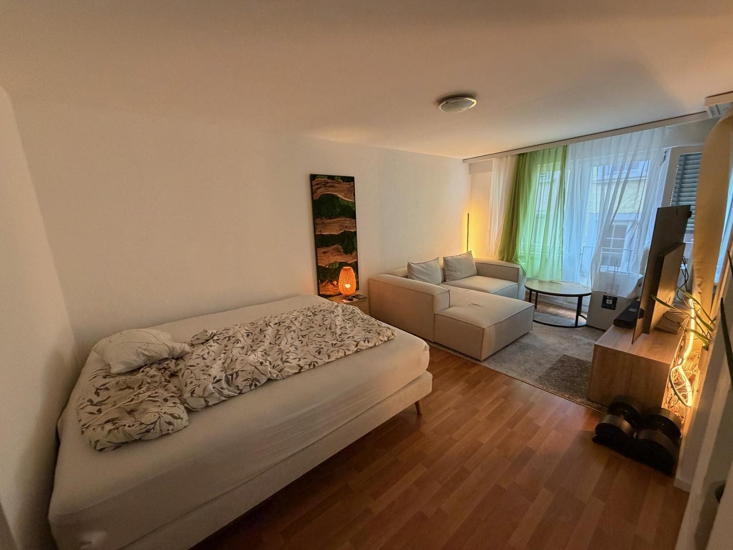 Appartamento di 2 ½ locali, foto 4 di 8
