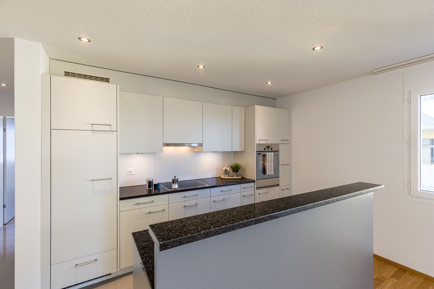 Appartement de 3 ½ pièces