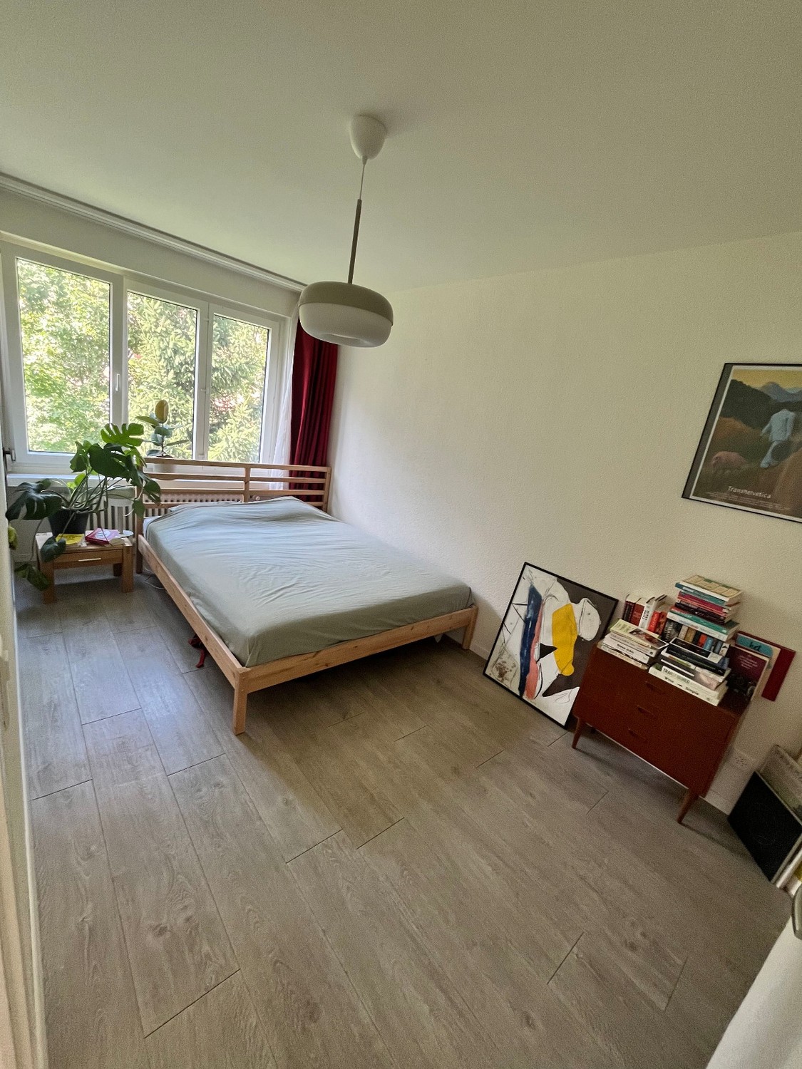 Room in a shared flat