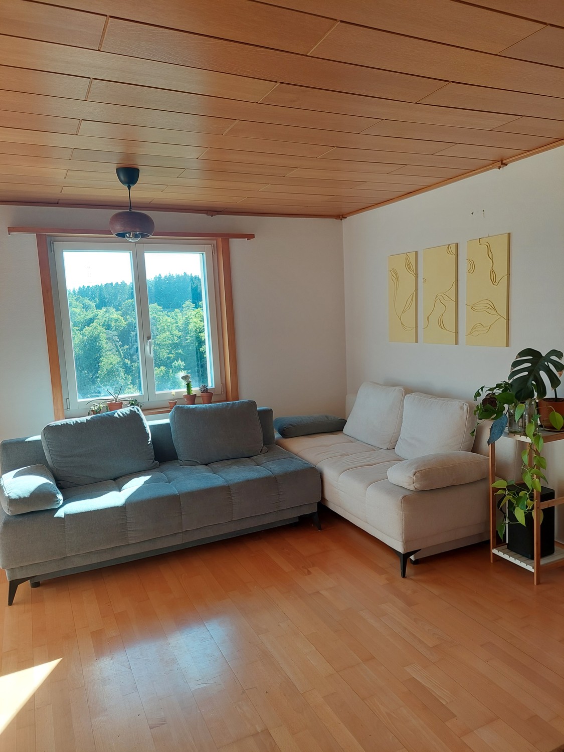 5 rooms single house