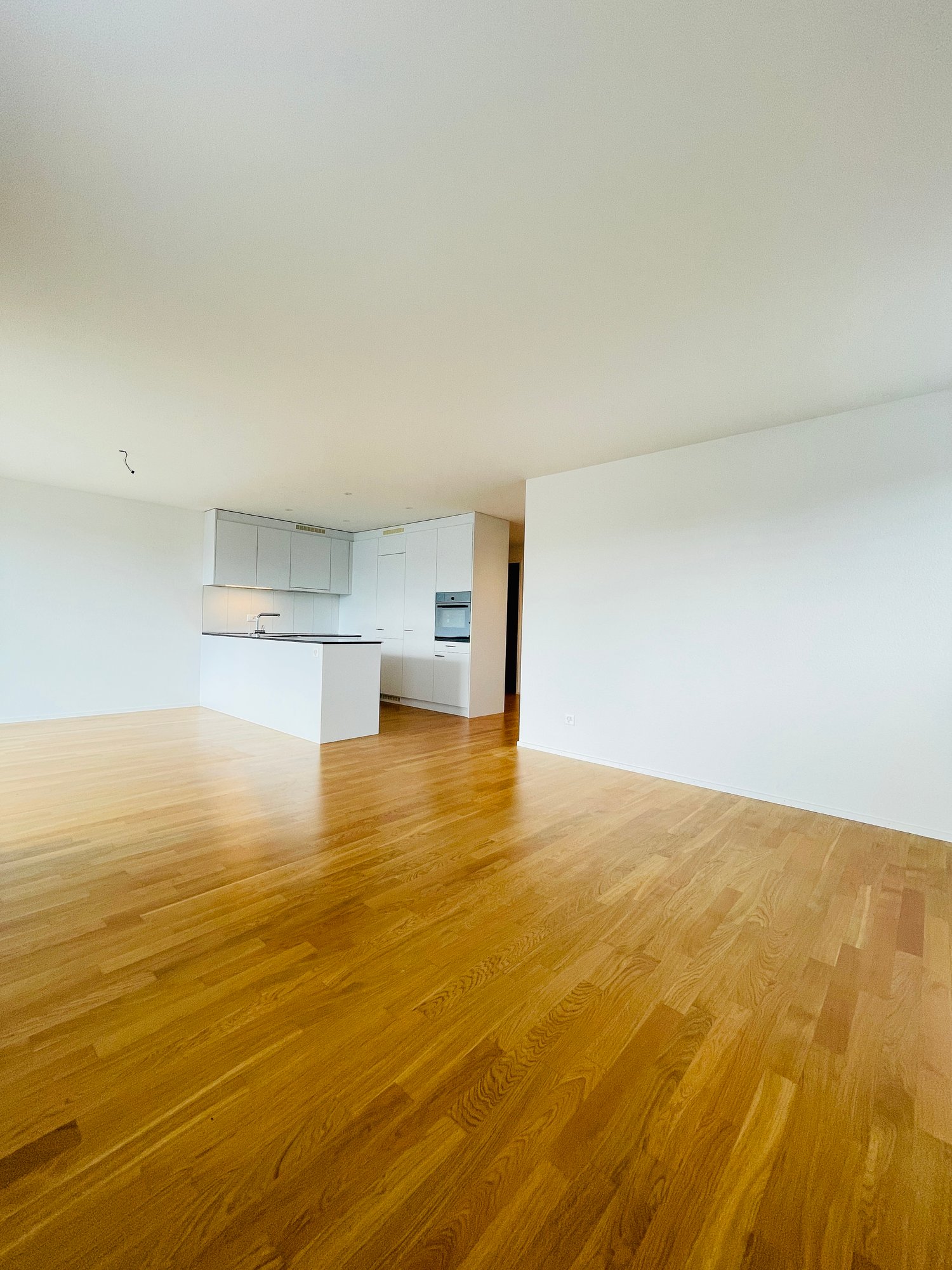 4 ½ rooms apartment, photo 5 of 10