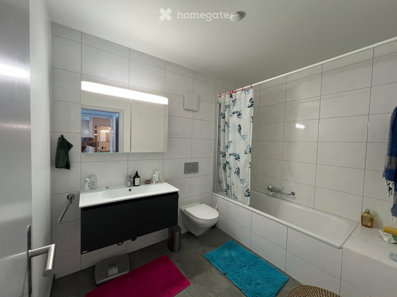 2 ½ rooms apartment