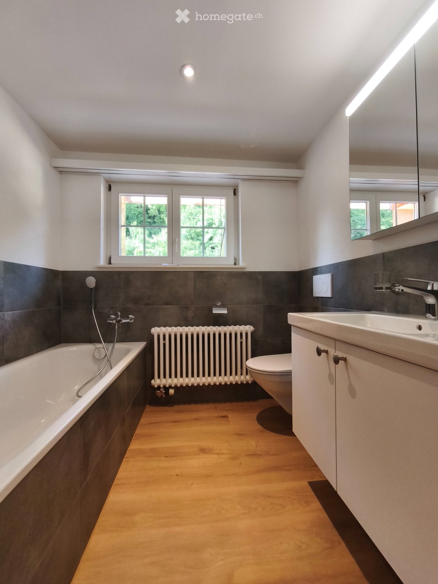 4 ½ rooms apartment