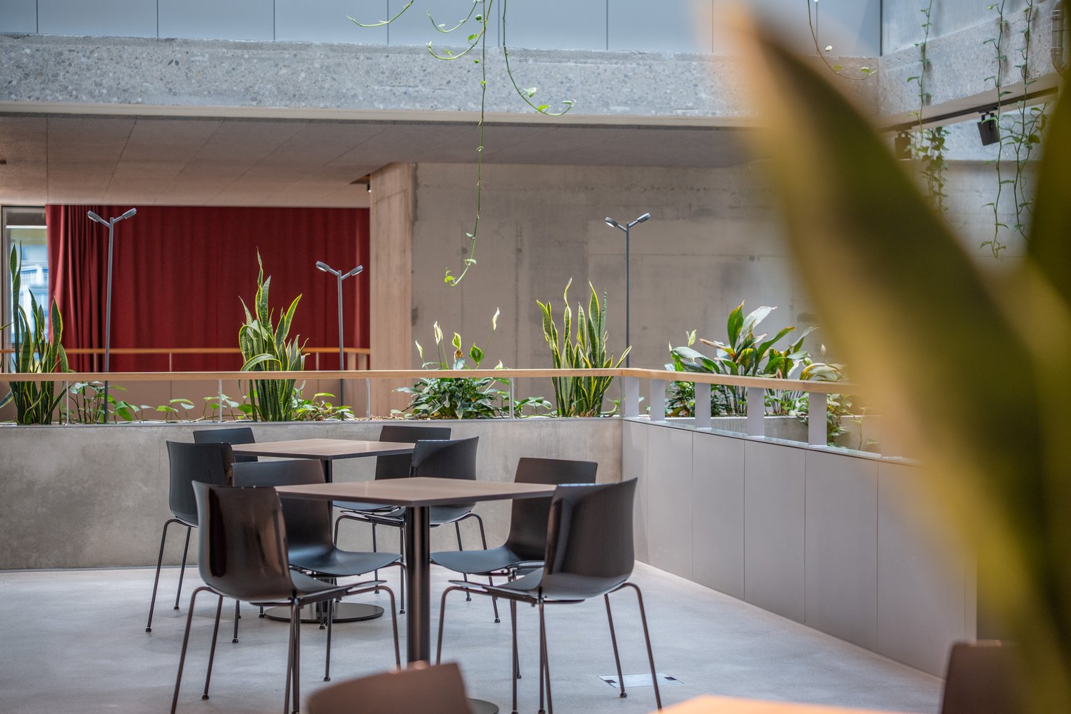 460m² commercial, photo 6 of 10