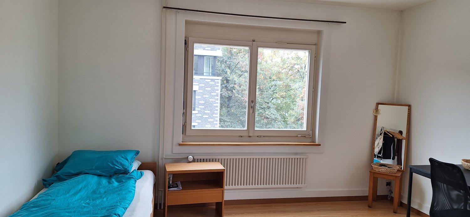 Room in a shared flat