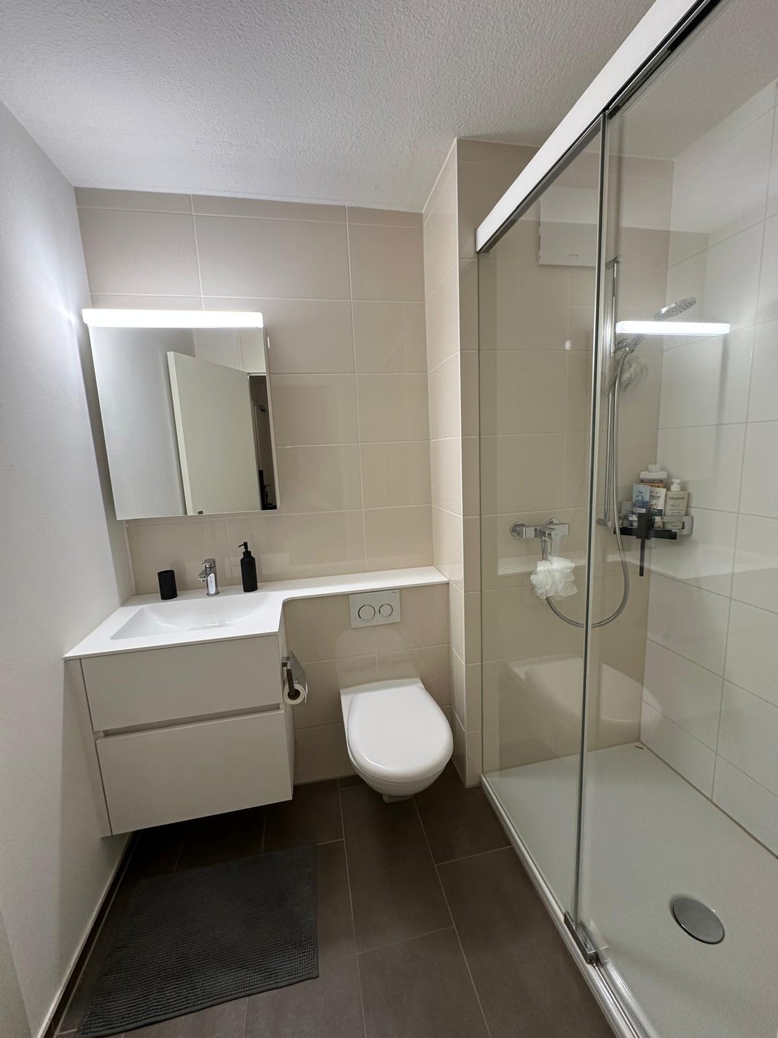 1 room apartment