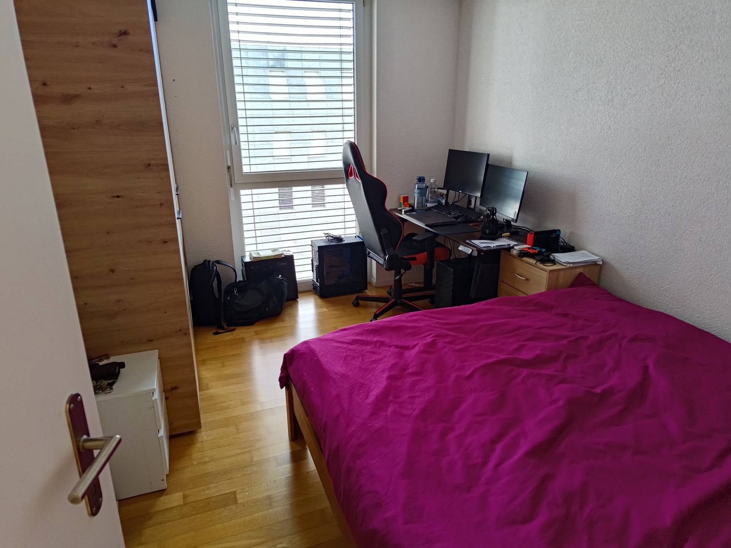 Room in a shared flat