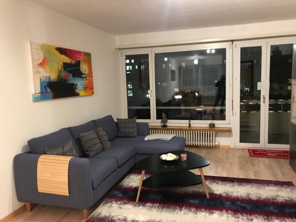 Appartamento arredato di 3 ½ locali