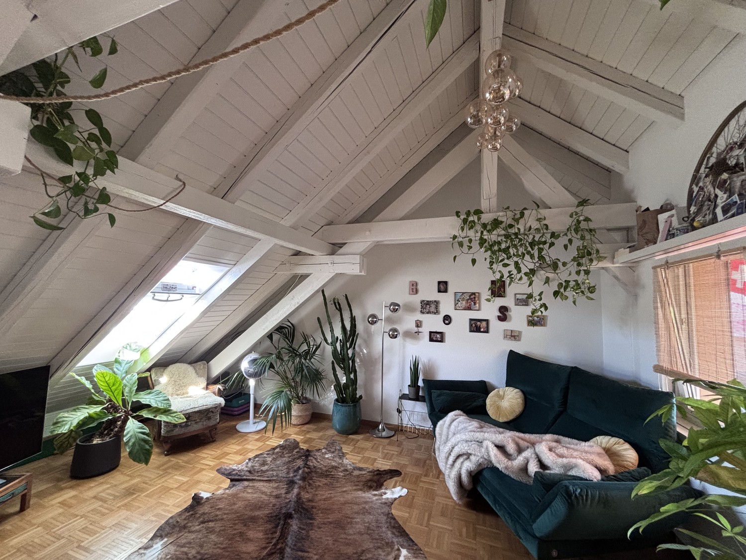 3 ½ Zimmer Wohnung