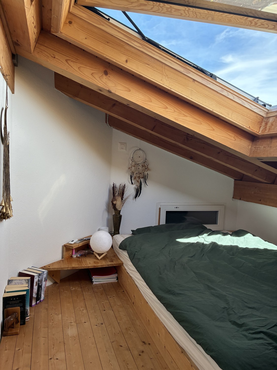Room in a shared flat