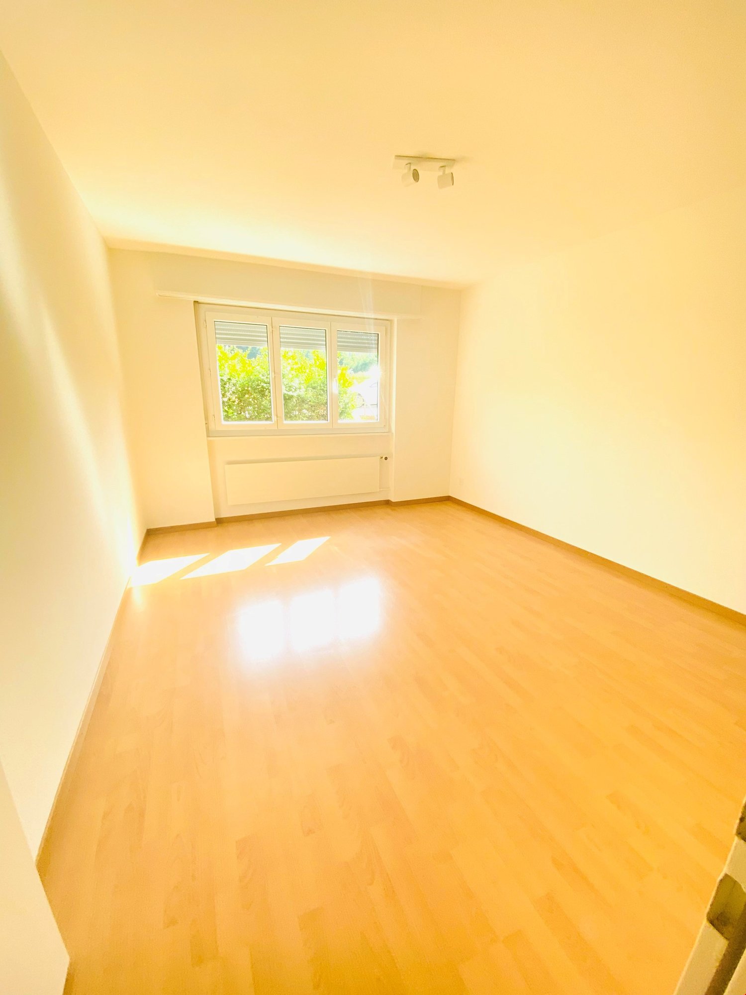 Appartement de 4 ½ pièces, photo 4 sur 9