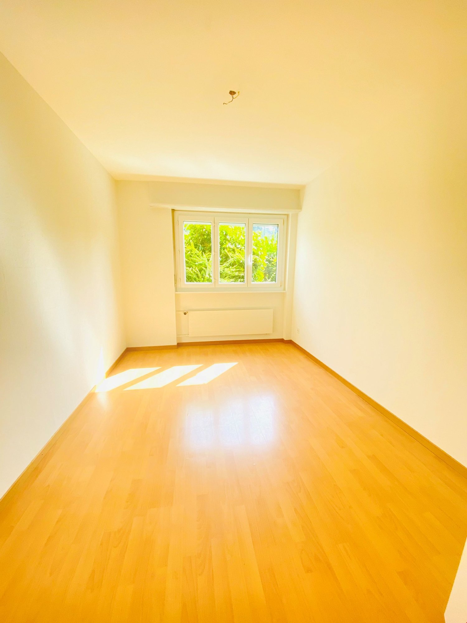 Appartement de 4 ½ pièces, photo 3 sur 9