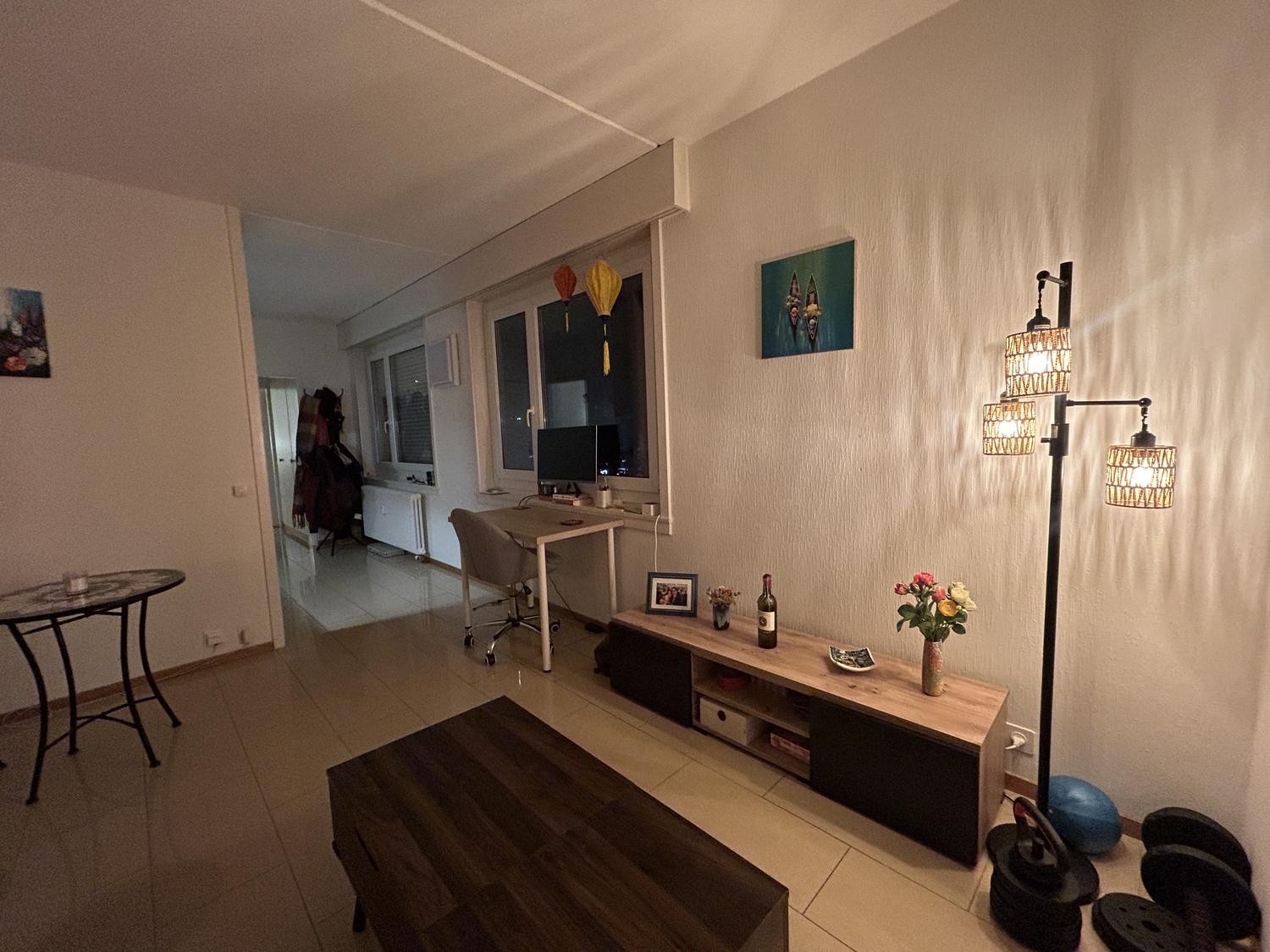 Appartamento di 2 ½ locali