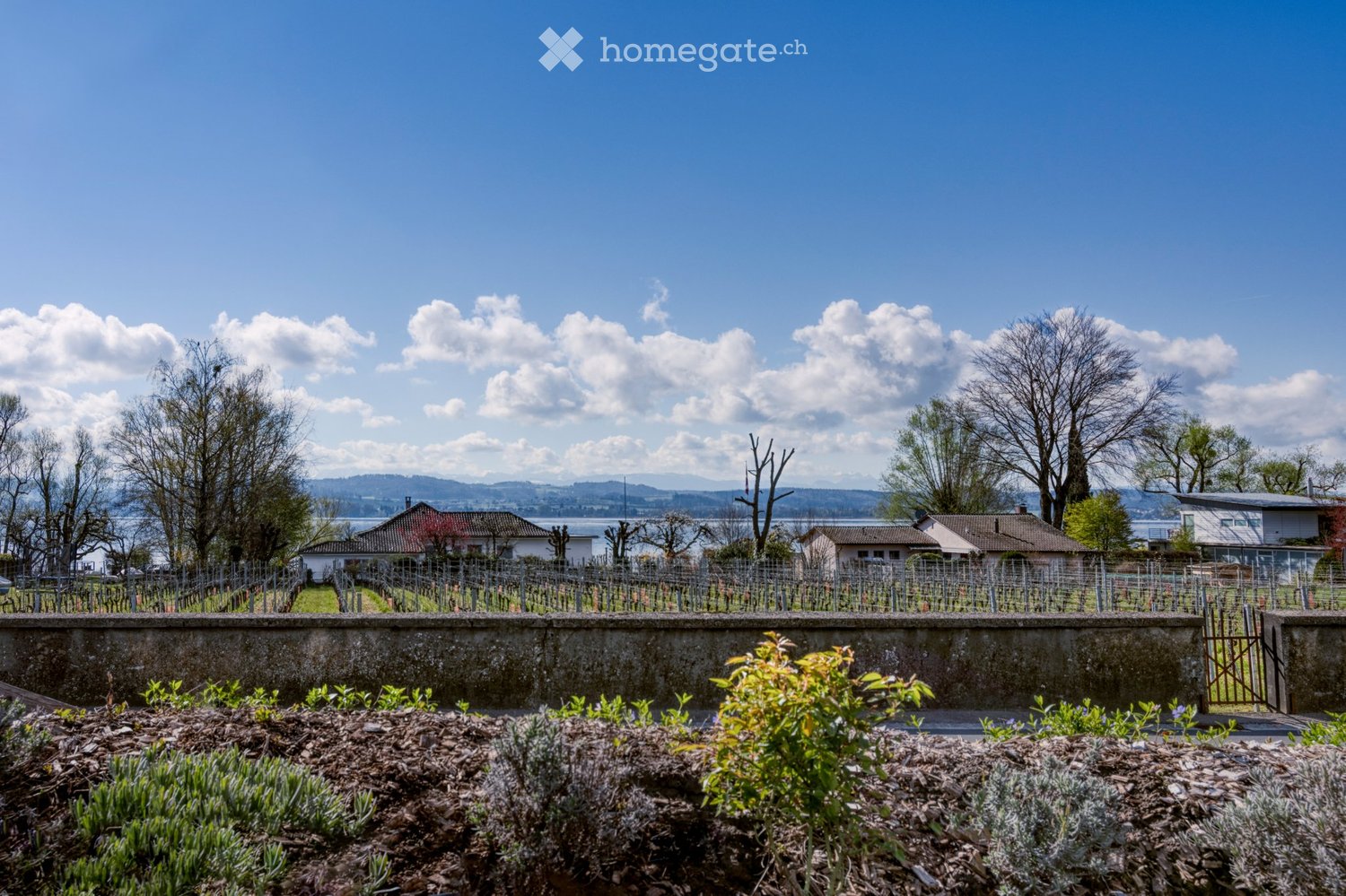 Appartamento di 3 ½ locali, foto 4 di 5