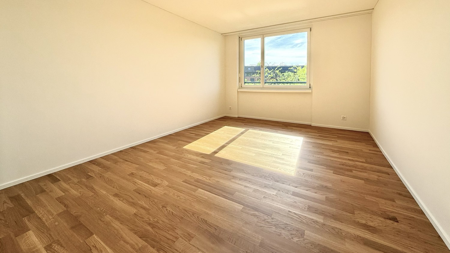 4 ½ rooms apartment (5)