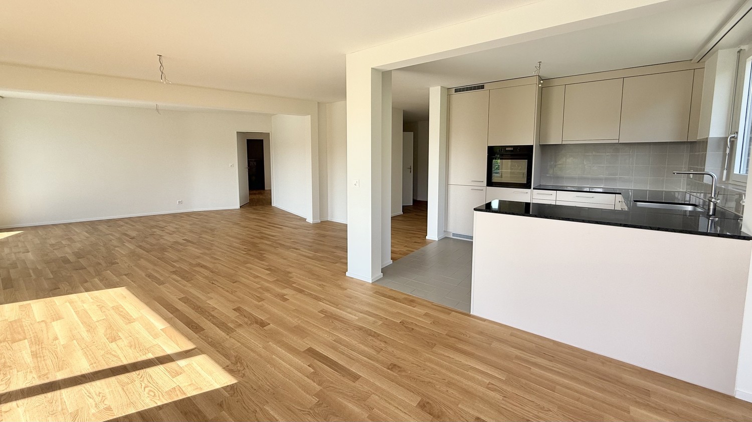 4 ½ rooms apartment (3)