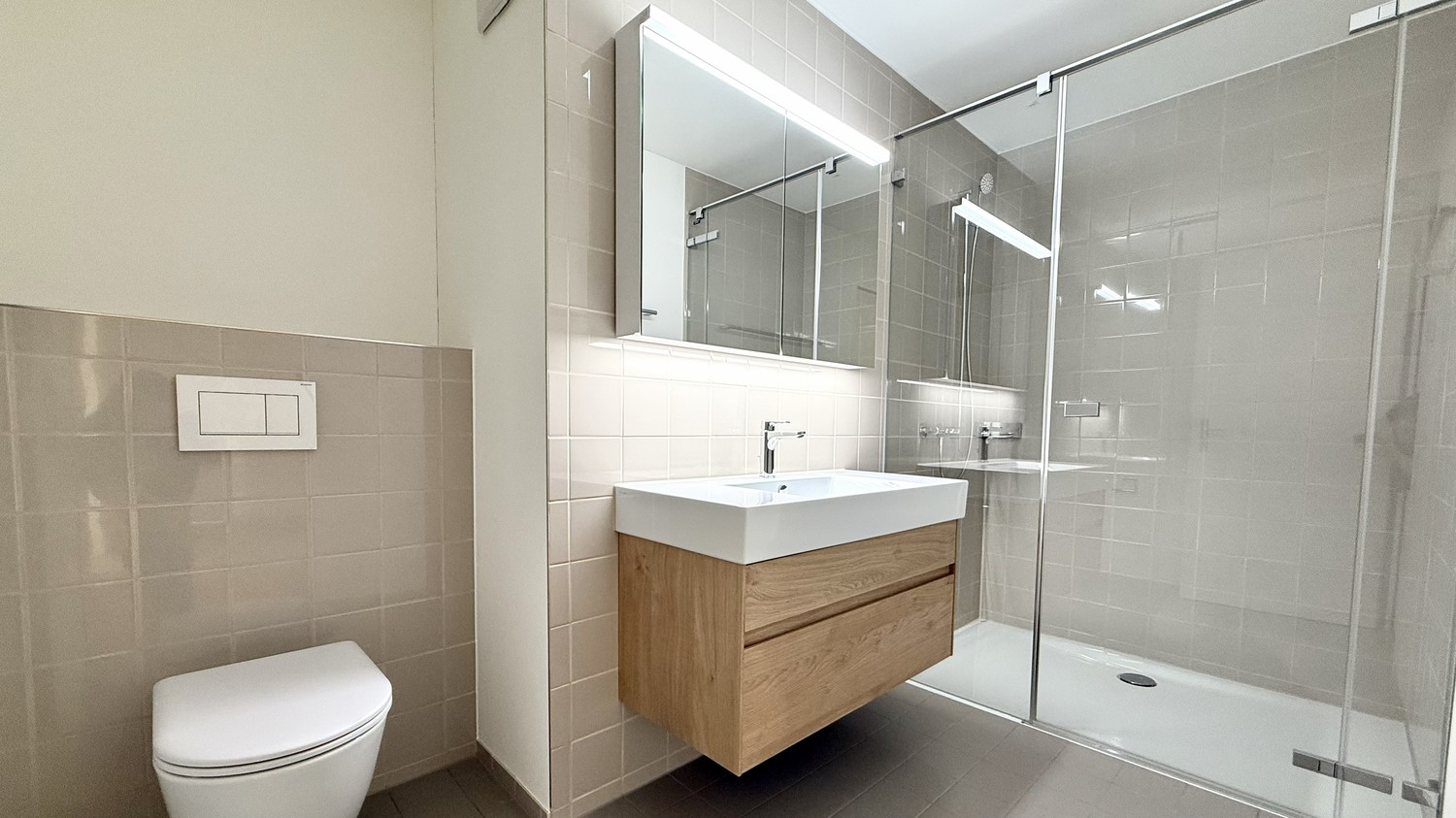 4 ½ rooms apartment (10)