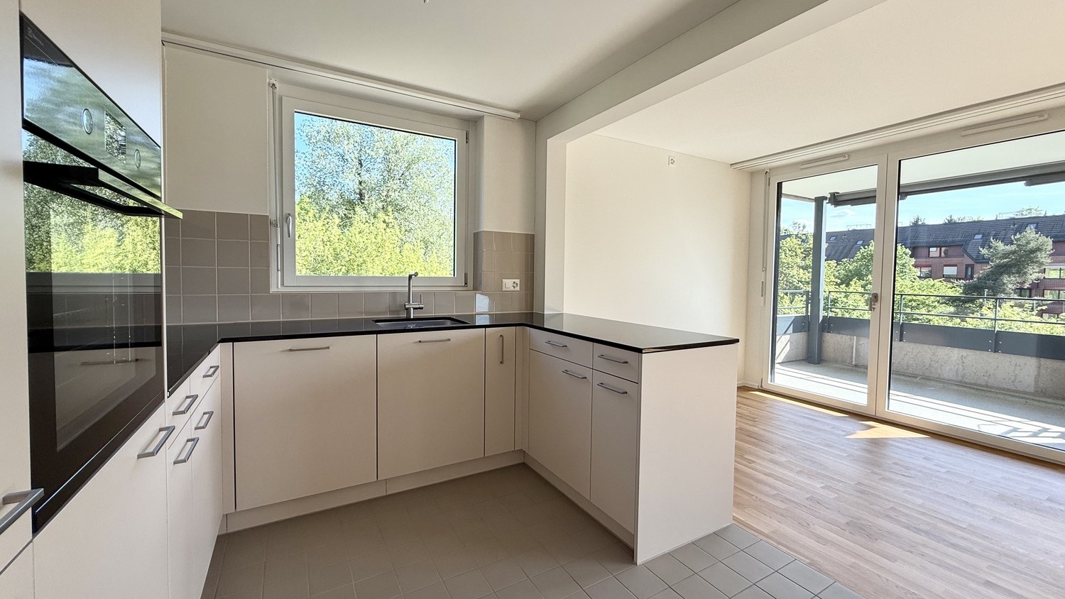 4 ½ rooms apartment (4)