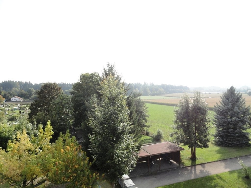 3 ½ rooms apartment (7)