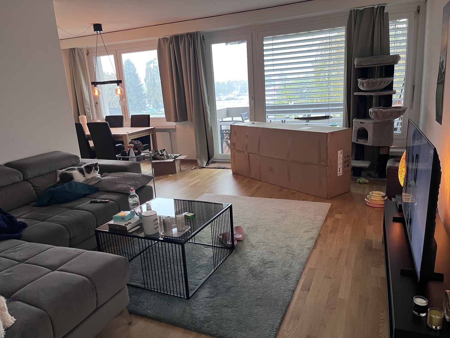 2 ½ room apartment