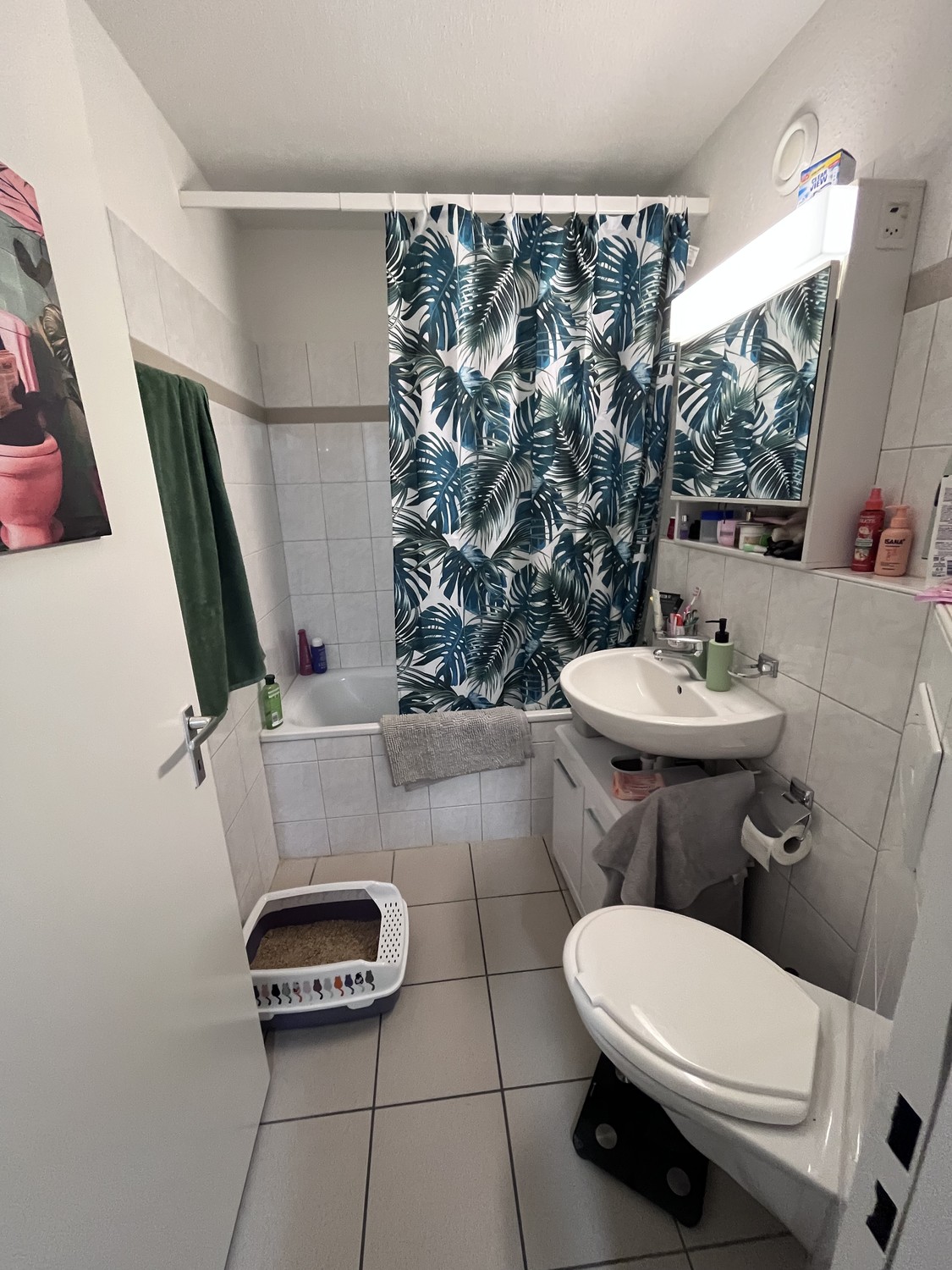 2 ½ room apartment
